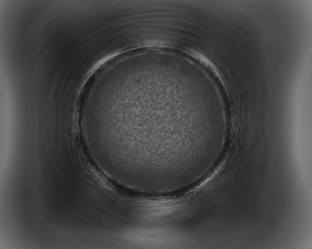 X0000085821019200703231352