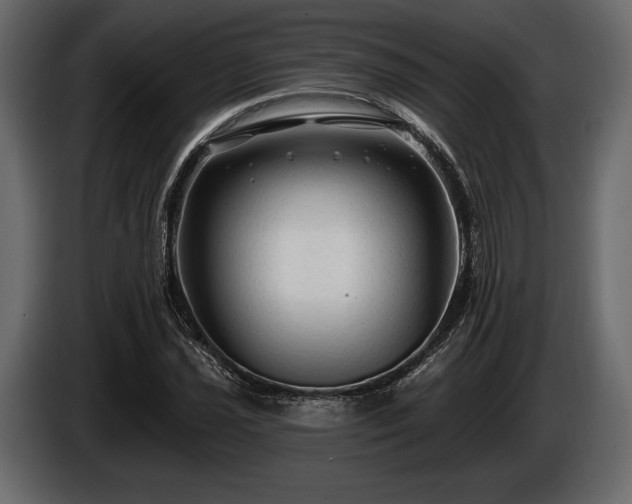 X0000085821021200703231352