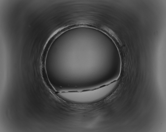 X0000085821024200703231352