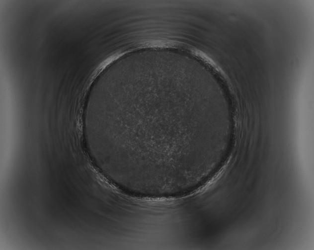 X0000085821025200703231352
