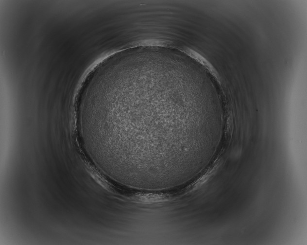 X0000085821027200703231352