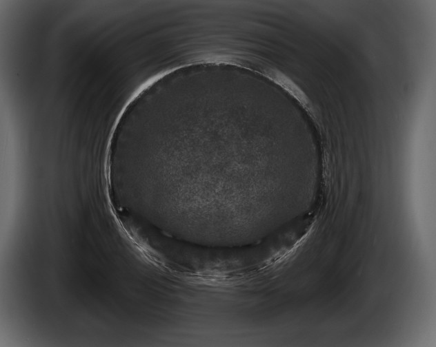 X0000085821028200703231352