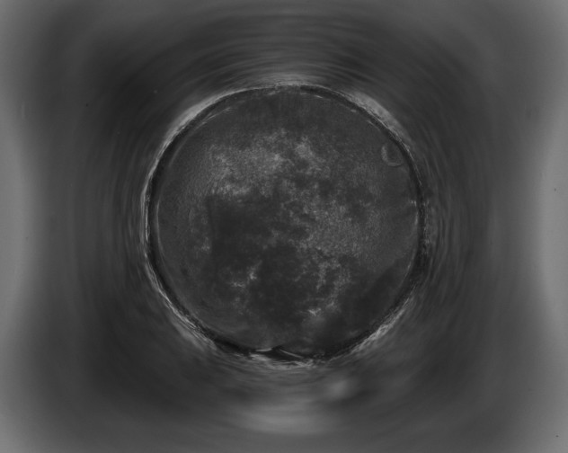 X0000085821031200703231352