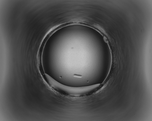 X0000085821032200703231352