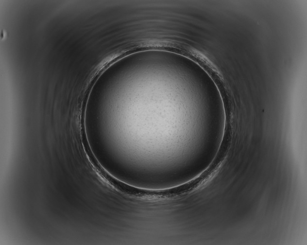 X0000085821033200703231352
