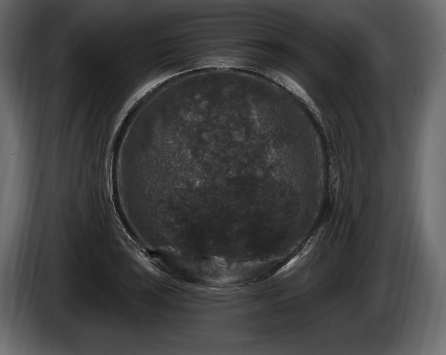 X0000085821035200703231352