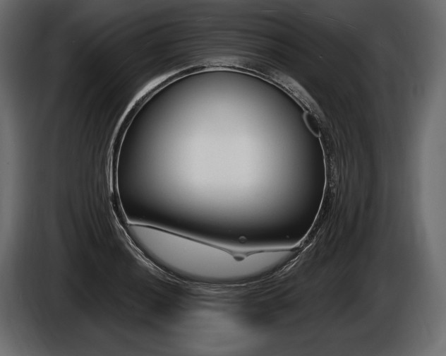 X0000085821036200703231352