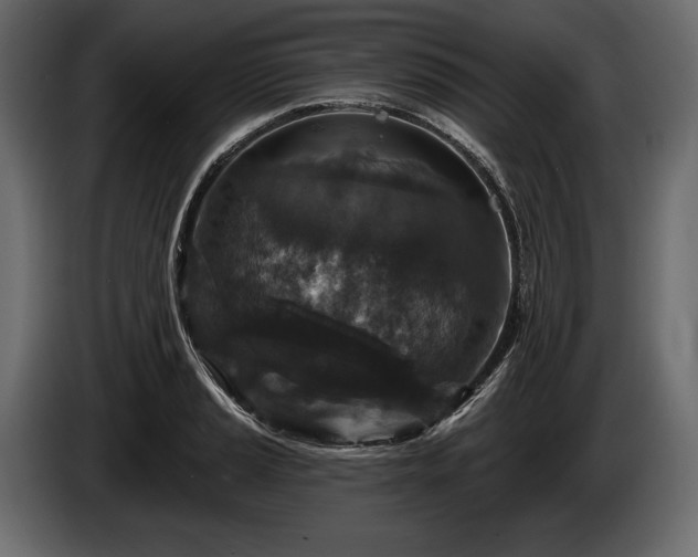 X0000085821037200703231352