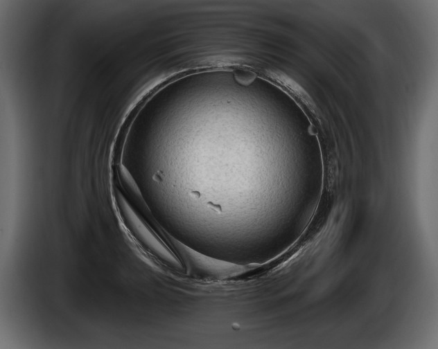 X0000085821039200703231352