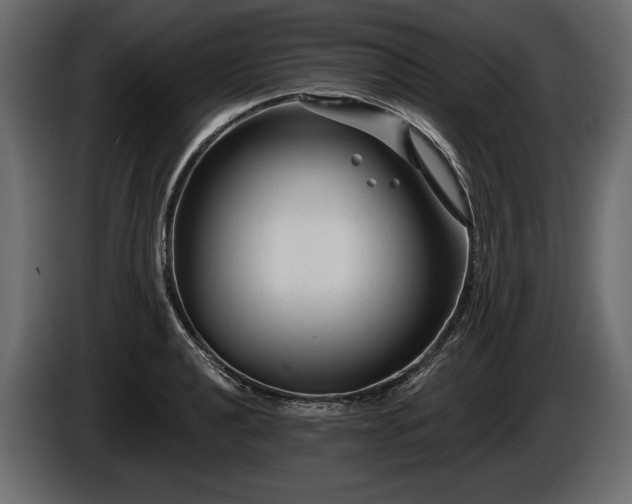 X0000085821040200703231352