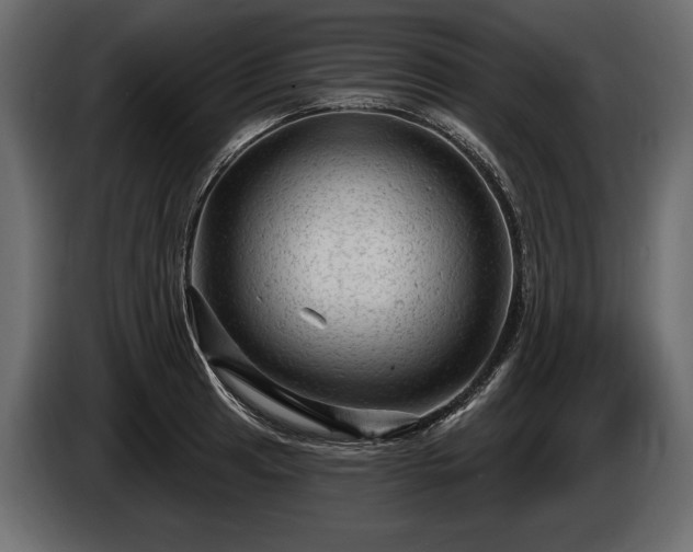 X0000085821041200703231352