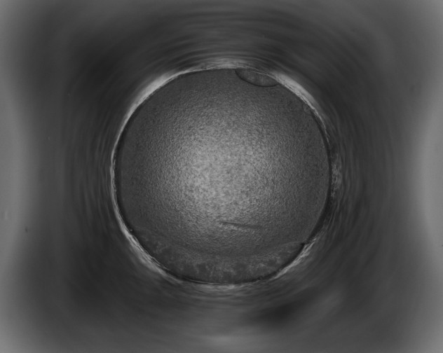 X0000085821047200703231352