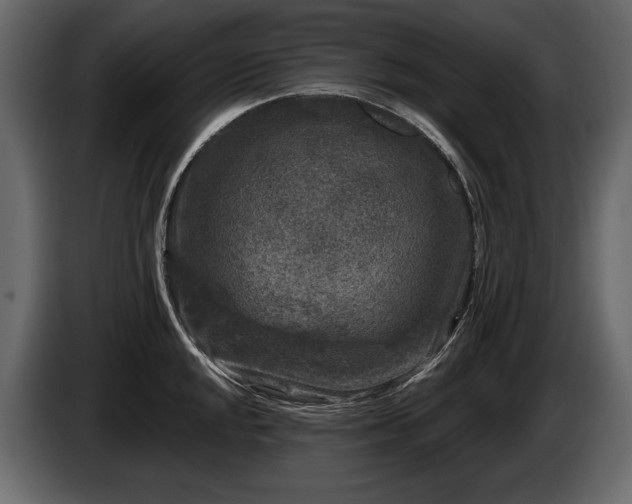 X0000085821048200703231352