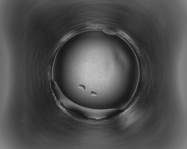 X0000085821049200703231352