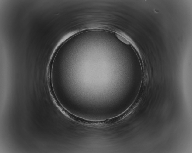 X0000085821053200703231352