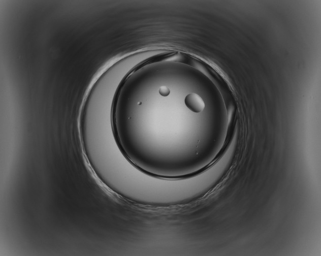 X0000085821054200703231352