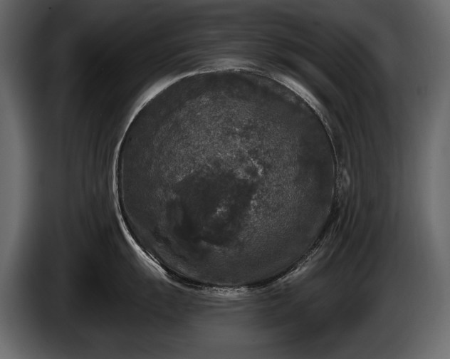 X0000085821055200703231353