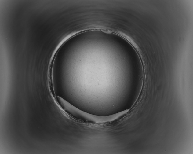 X0000085821056200703231353