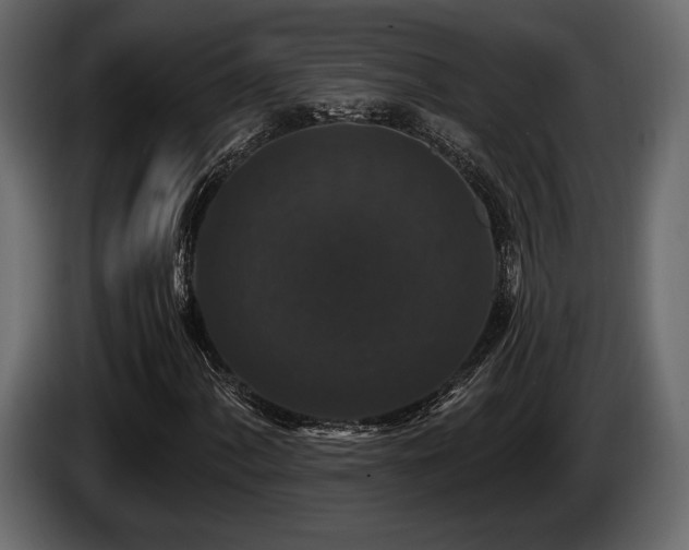 X0000085821060200703231352