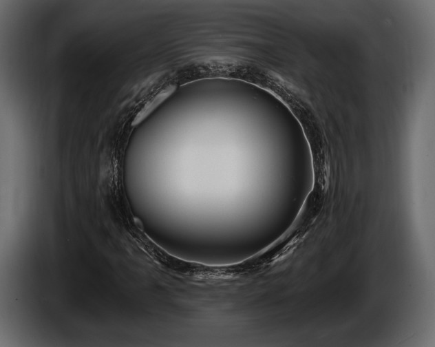 X0000085821061200703231352