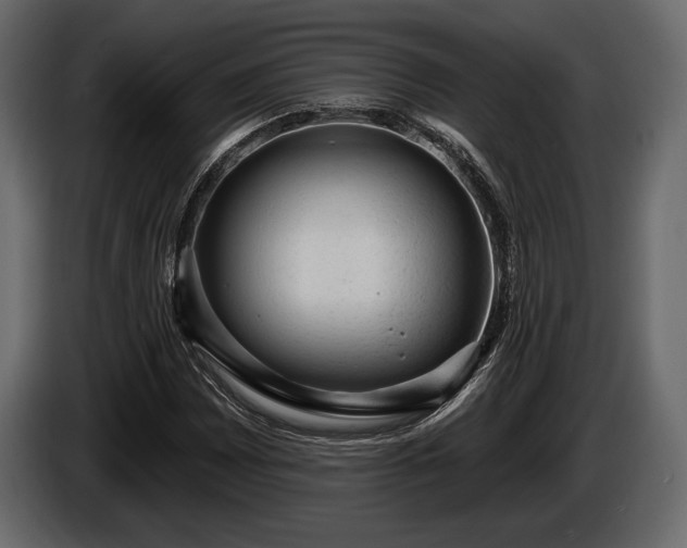 X0000085821065200703231352