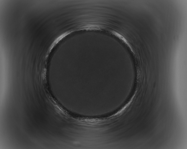 X0000085821066200703231352