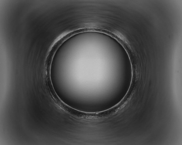 X0000085821070200703231352