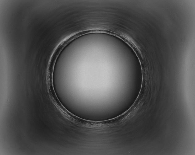 X0000085821072200703231352