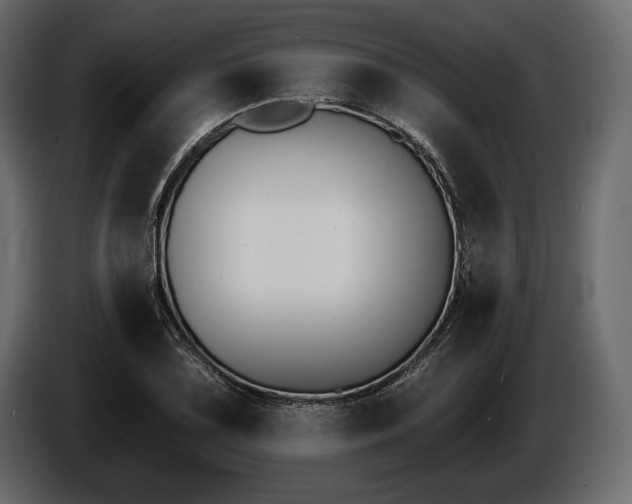 X0000085821075200703231352