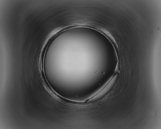 X0000085821080200703231352
