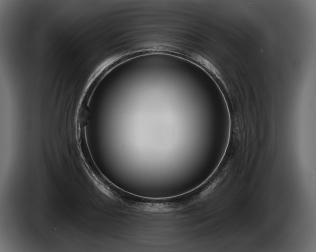 X0000085821082200703231351