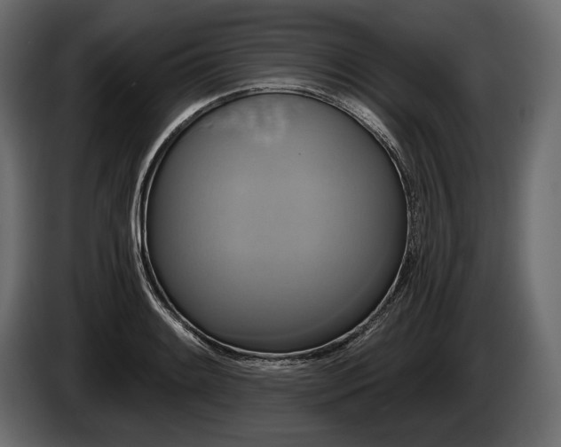 X0000085821084200703231351