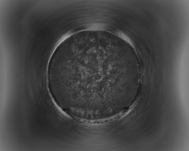 X0000085821087200703231351