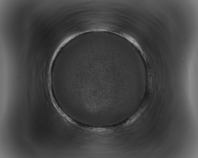 X0000085821088200703231351