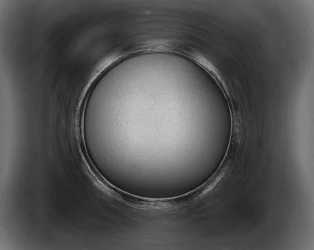 X0000085821090200703231351