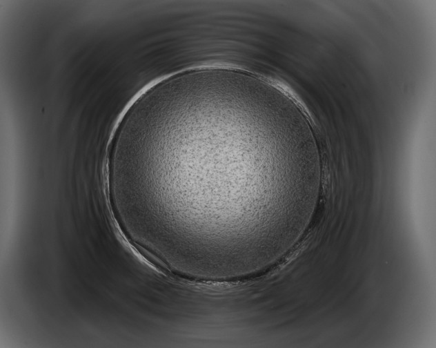 X0000085821092200703231351