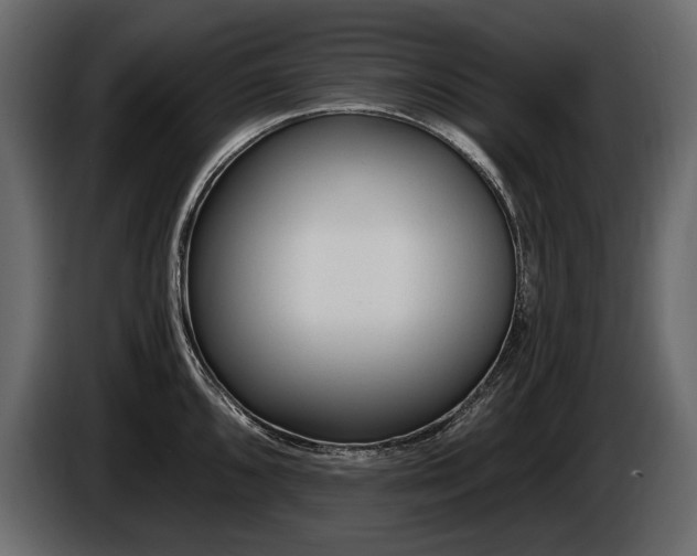X0000085821096200703231351