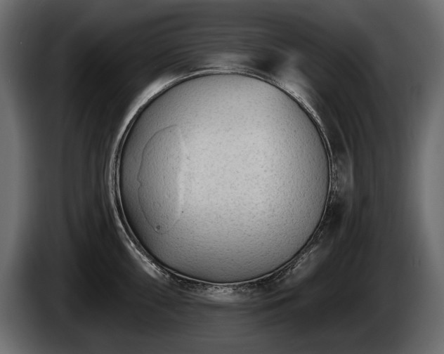 X0000085821098200703231351