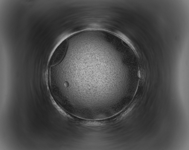 X0000085821100200703231351