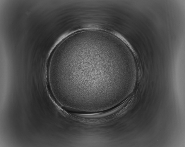 X0000085821101200703231351