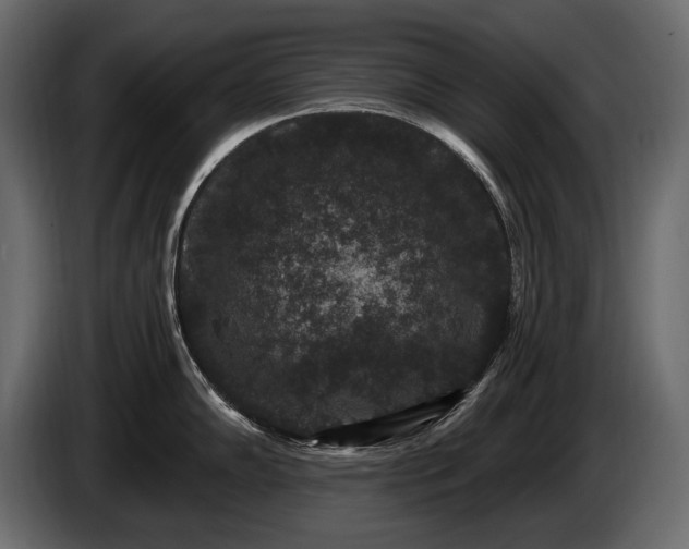 X0000085821102200703231351