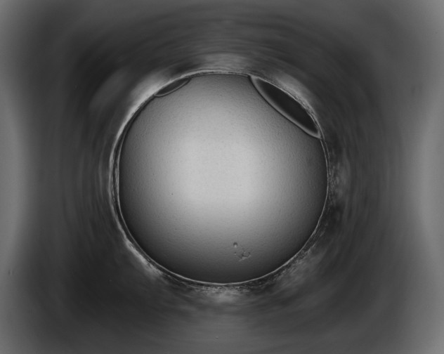 X0000085821103200703231351