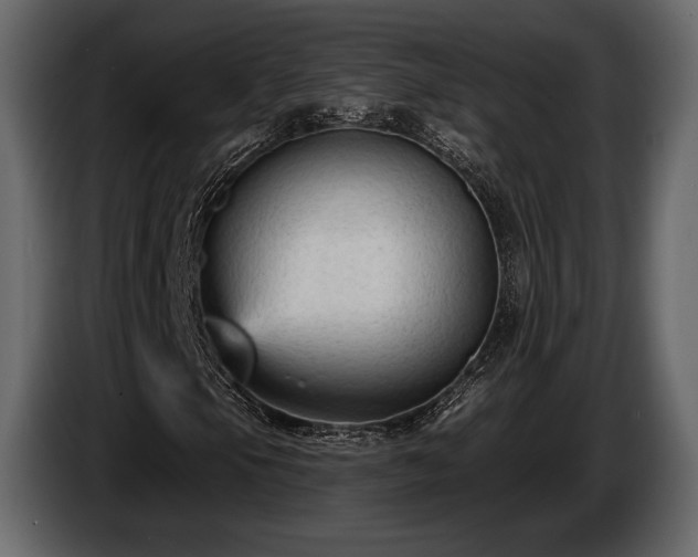 X0000085821105200703231350