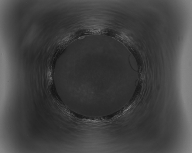 X0000085821106200703231351