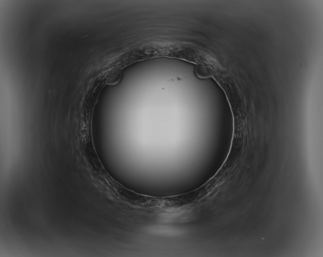X0000085821109200703231351