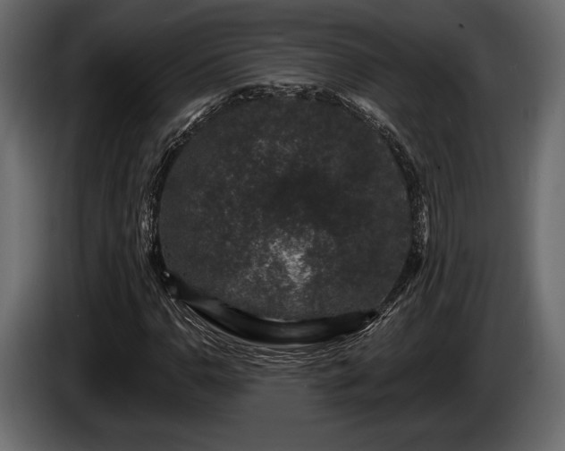 X0000085821110200703231351