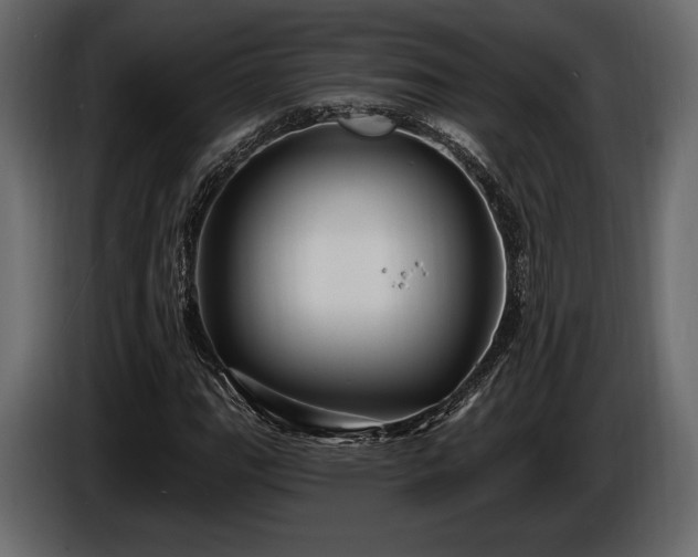 X0000085821111200703231351