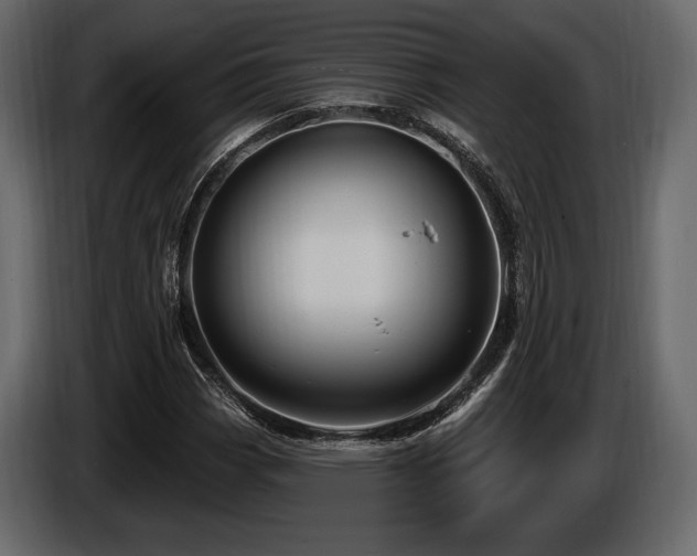X0000085821113200703231351