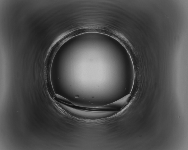 X0000085821114200703231351