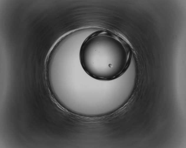 X0000085821116200703231351